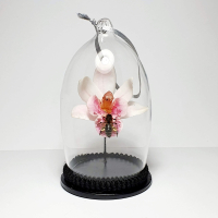 Natuur Historische Decoratie met 18k goud. Honingbij op orchidee